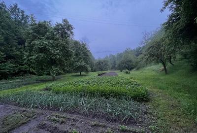Casă cu 6 camere în Central - 9