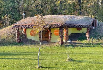 Casă cu 9 camere cu Piscina în Grădiștea - 5