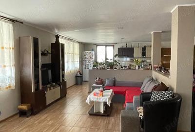 Casă cu Teren 1454 Mp în Pustiniș - 9