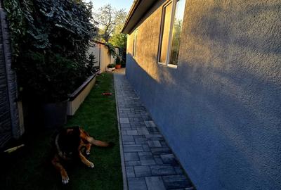 Casă cu 2 camere în Central - 2