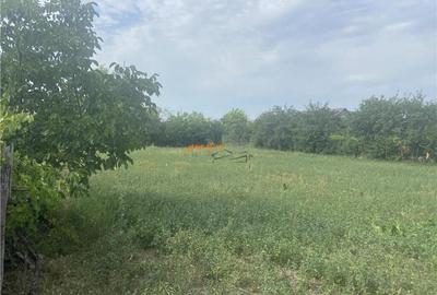 Casa si teren de in Suraia, zona Cimitirul central ,2087 mp - 1