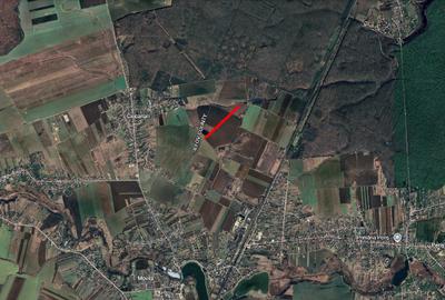 Teren agricol extravilan de 14000 mp, în Periș - 1