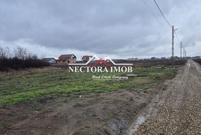 Teren de 501 mp, în Nojorid - 7