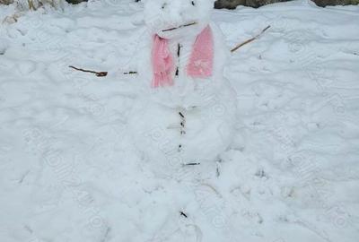 Vand casa cu teren la 65 km de Bucuresti,s-au schimb cu ap 3 camere Bucuresti - 9