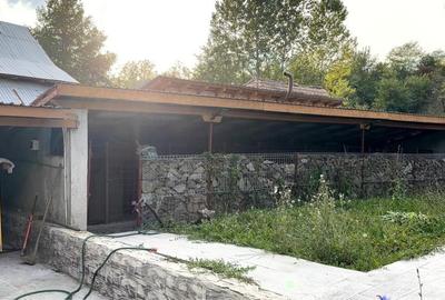 Casă cu 3 camere în Zmeurătu - 8