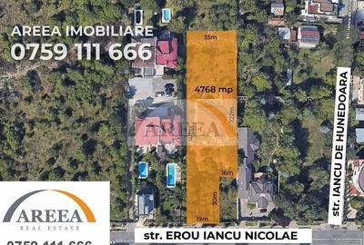 Teren Construcții intravilan de 4768 mp, în Iancu Nicolae - 1