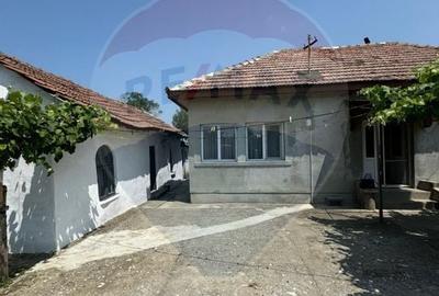 Casa 74 mp/ Predesti 1331 mp teren intravilan - 12