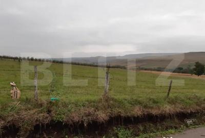 Teren de 5000 mp, în Fălticeni - 1