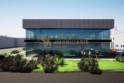 Hale Industriale si Spatii de Depozitare, de vanzare, zona Luminisului - 6