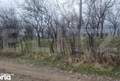 Teren de 3781 mp, în Izvoarele - 7