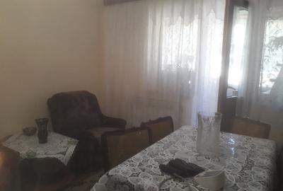 Apartament cu 4 camere decomandat în George Enescu - 8