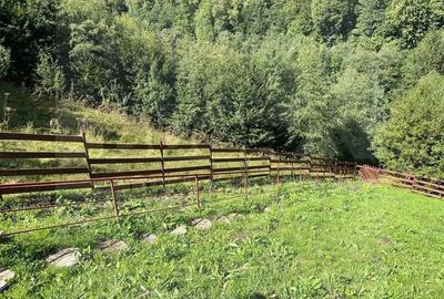 Casă cu 4 camere în Vale - 1