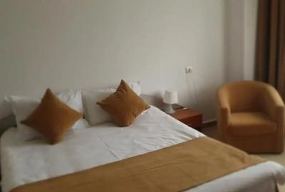 Spațiu comercial, de 800 mp, în Calea Călărașilor - 3