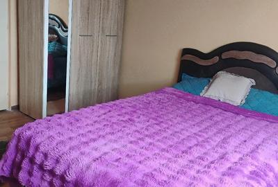 Garsonieră decomandată în Lotrului - 3