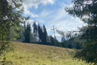 Teren de 9975 mp, în Predeal - 6