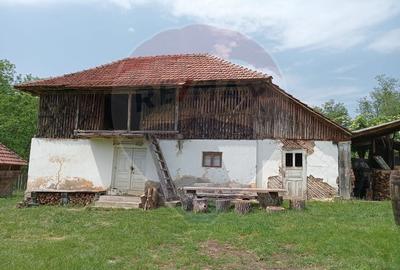 Vanzare casa  4 camere-microferma, cu panouri fotovoltaice - 20