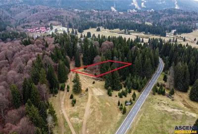 Teren de 1000 mp, în Poiana Brașov - 2