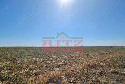 Teren de 56800 mp, în Fărcașele - 13