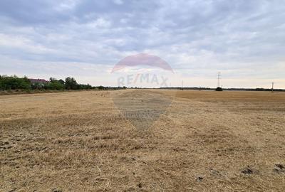 Teren intravilan Buftea, soseaua Tamasi - 6