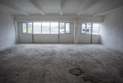 Spațiu industrial, de 628 mp, în Vest - 2