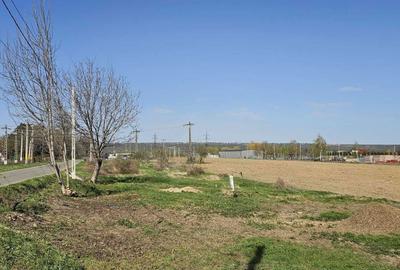 Spațiu comercial, în Gârleni - 5