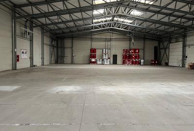 Spatiu de depozitare si productie Iuliul Maniu - 8