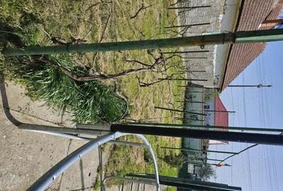 Casă cu Teren 1996 Mp în Giulvăz - 3