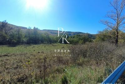 Teren agricol extravilan de 2250 mp, în Vultureni - 4