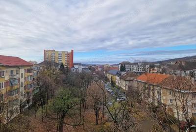 Garsoniera recent renovata zona RFN - 7