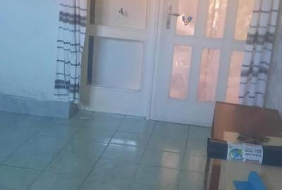 Casă cu 1 camere cu Teren 500 Mp în Central - 3