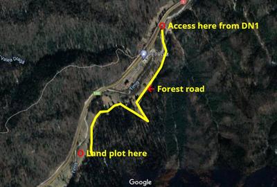 Teren Construcții intravilan de 4500 mp, în Timișu de Jos - 2