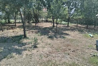 Casă cu 5 camere în Racovița - 2
