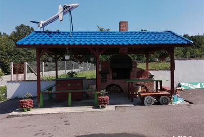 Spațiu comercial, de 500 mp, în Baia de Fier - 5