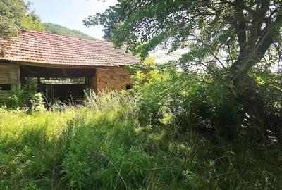 Teren de 37500 mp, în Barbura - 10