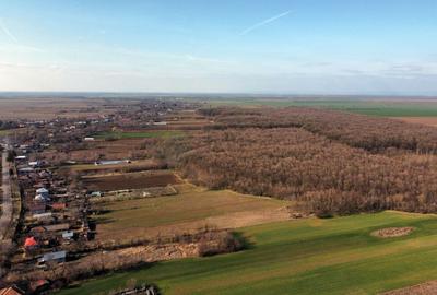 Teren Construcții intravilan de 70291 mp, în Micșunești-Moară - 16