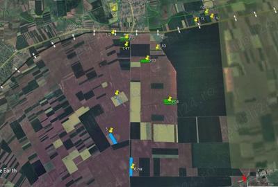 Teren de 357800 mp, în Sânpetru German - 1