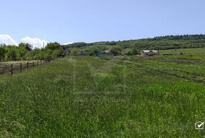 Teren Construcții intravilan de 2900 mp, în Vâlcele - 2