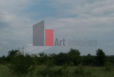 Teren Construcții intravilan de 3000 mp, în Sud - 20