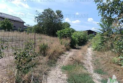 Teren intravilan in localitatea Cornetu cu deschidere mare, ideal pentru dezvolt Teren intravilan in localitatea Cornetu cu deschidere mare, ideal pentru dezvolt - 3