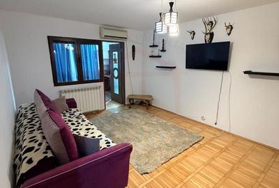 Apartament cu 3 camere decomandat în Siderurgiștilor - 9