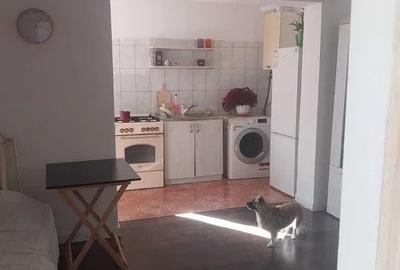 Apartament cu 2 camere la casa, zona Podu de Fier - 4