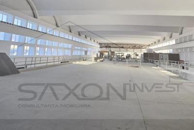 Sos Giurgiului - Jilava, 5400 mp pod  rulant - 1