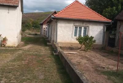 Vanzare casa in Pauli? Vanzare casa in Pauli? - 2