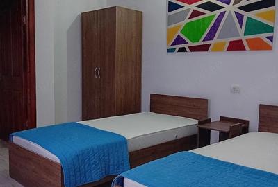 Apartament cu 2 camere decomandat în Amara - 2