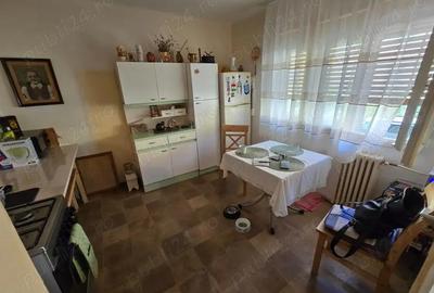 Casă cu 3 camere în Luncă - 2