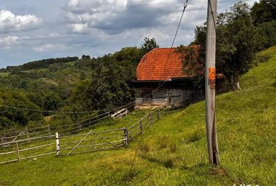 Casa de vanzare + 30.000 m teren Casa de vanzare + 30.000 m teren - 1