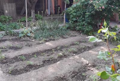 Casa de vanzare in Chercea, teren 420mp - 7