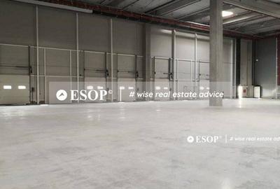 MLP Bucharest West, spatii industriale Chitila, 2.000 - 16.800mp - 4