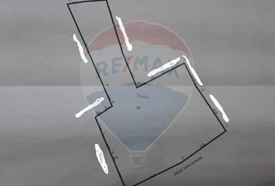 Teren agricol extravilan de 11542 mp, în Cacica - 1