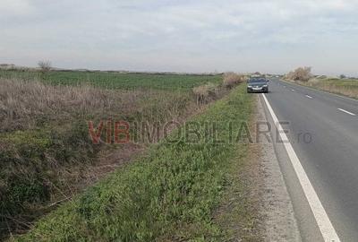 Teren de 10000 mp, în Săcălaz - 4